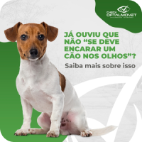 Imagem do letreiro